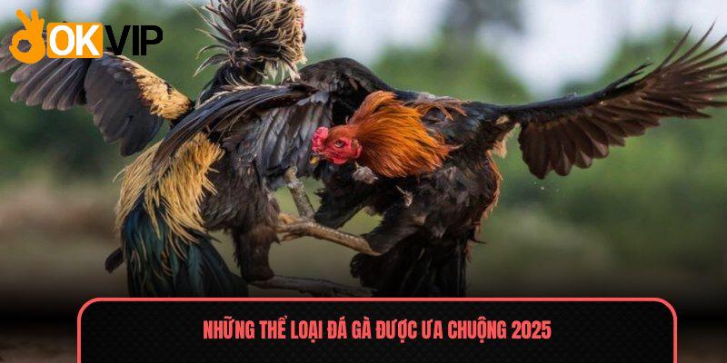 Những thể loại Đá gà được ưa chuộng 2025